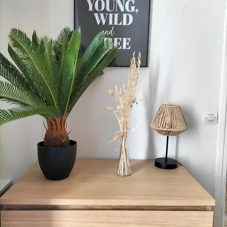 Gare Centre Parking Apartament Nancy