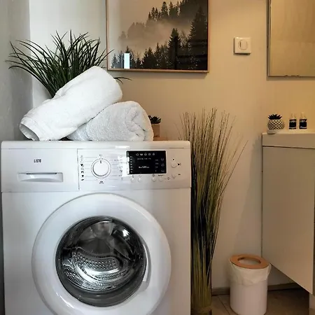 Gare Centre Parking Apartament Nancy