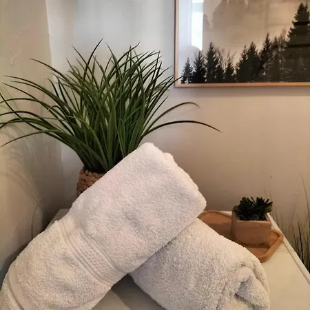 Gare Centre Parking Nancy